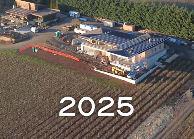 LucidWild 2025 in review.