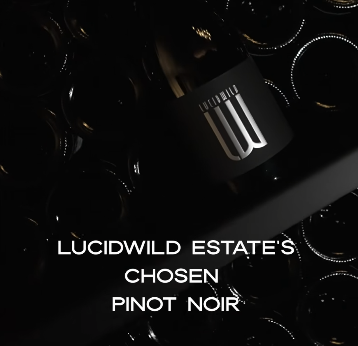 Chosen Pinot Noir